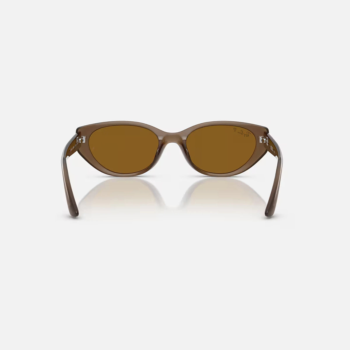Ray-Ban RB4457D Bio-Based Sunglasses - Velocity 21 Polished Transparent Brown + Dark Brown Polarised