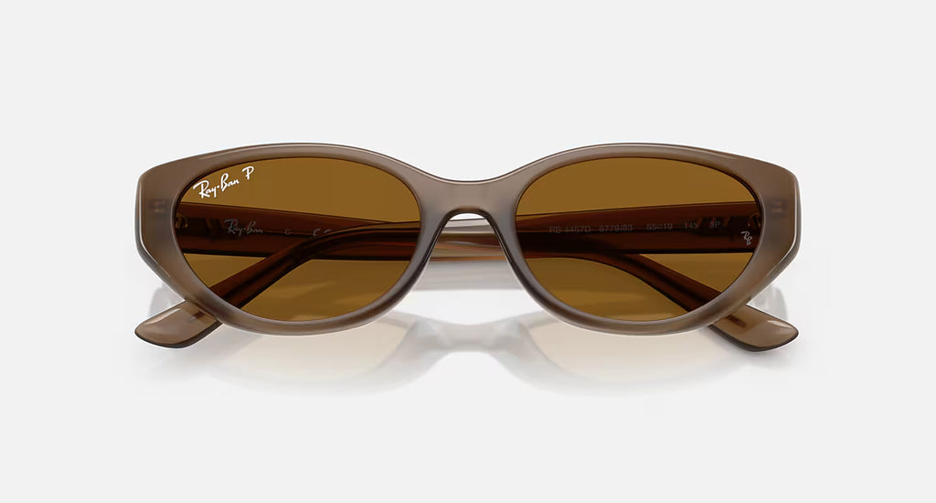 Ray-Ban RB4457D Bio-Based Sunglasses - Velocity 21 Polished Transparent Brown + Dark Brown Polarised