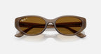 Ray-Ban RB4457D Bio-Based Sunglasses - Velocity 21 Polished Transparent Brown + Dark Brown Polarised