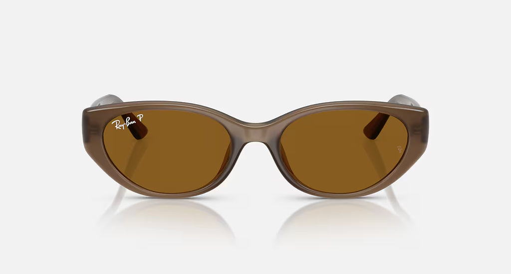 Ray-Ban RB4457D Bio-Based Sunglasses - Velocity 21 Polished Transparent Brown + Dark Brown Polarised
