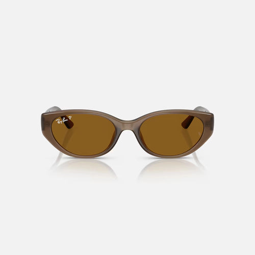 Ray-Ban RB4457D Bio-Based Sunglasses - Velocity 21 Polished Transparent Brown + Dark Brown Polarised