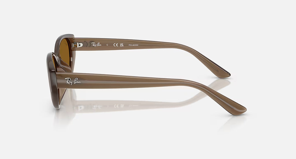 Ray-Ban RB4457D Bio-Based Sunglasses - Velocity 21 Polished Transparent Brown + Dark Brown Polarised