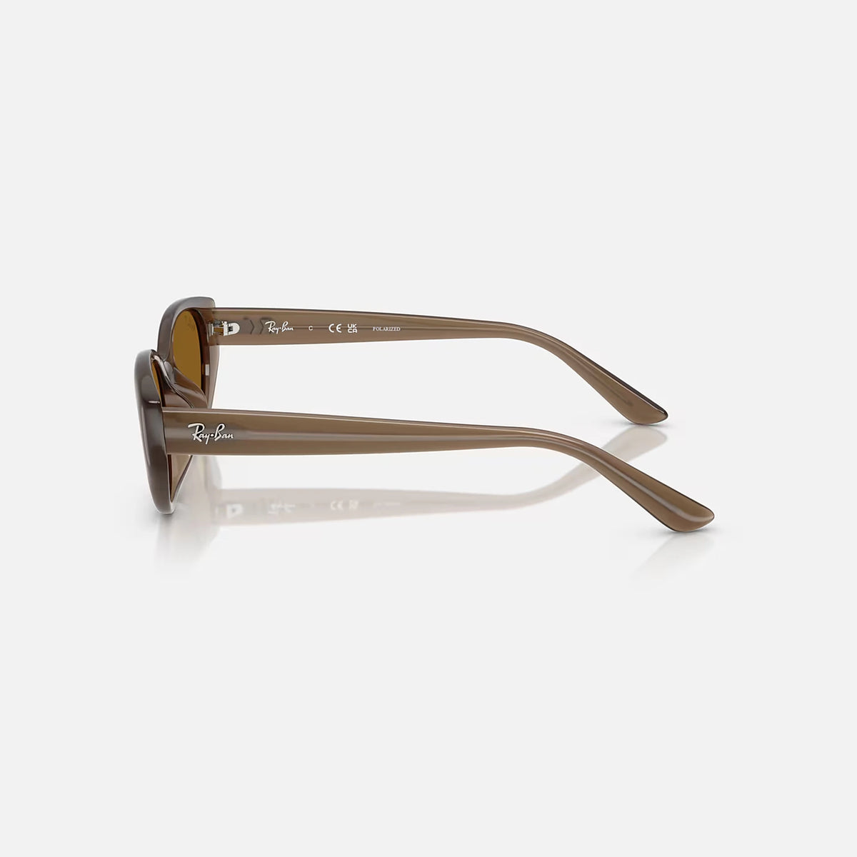 Ray-Ban RB4457D Bio-Based Sunglasses - Velocity 21 Polished Transparent Brown + Dark Brown Polarised