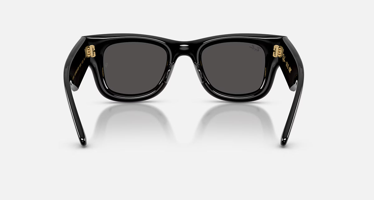 Ray-Ban Wayfarer Puffer Sunglasses - Velocity 21 Polished Black + Ultra Black