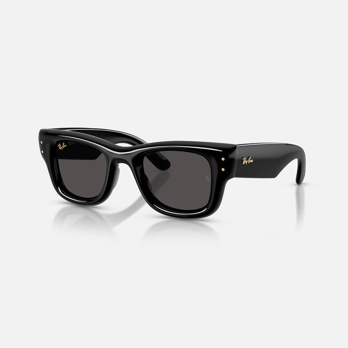 Ray-Ban Wayfarer Puffer Sunglasses - Velocity 21 Polished Black + Ultra Black