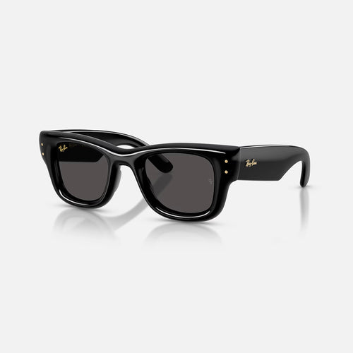 Ray-Ban Wayfarer Puffer Sunglasses - Velocity 21 Polished Black + Ultra Black