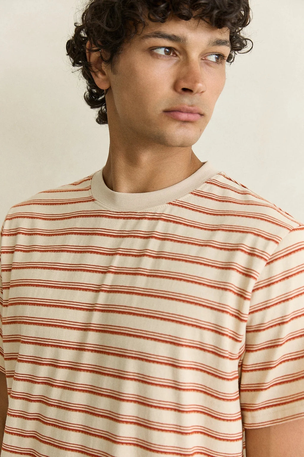 Vintage Stripe SS Tee