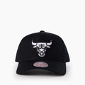 Pro Pinch Evergreen White Logo - Chicago Bulls