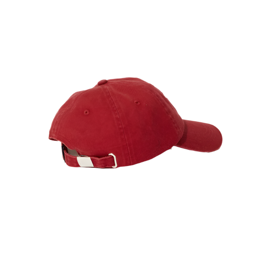 Afends - Cultivate Recycled Panelled Cap - Velocity 21