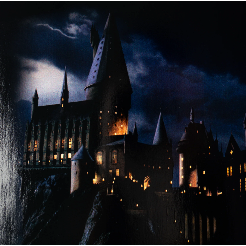 Arrival on Slappy Deck - 9.5"