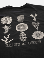 Coral Head Classic SS Tee
