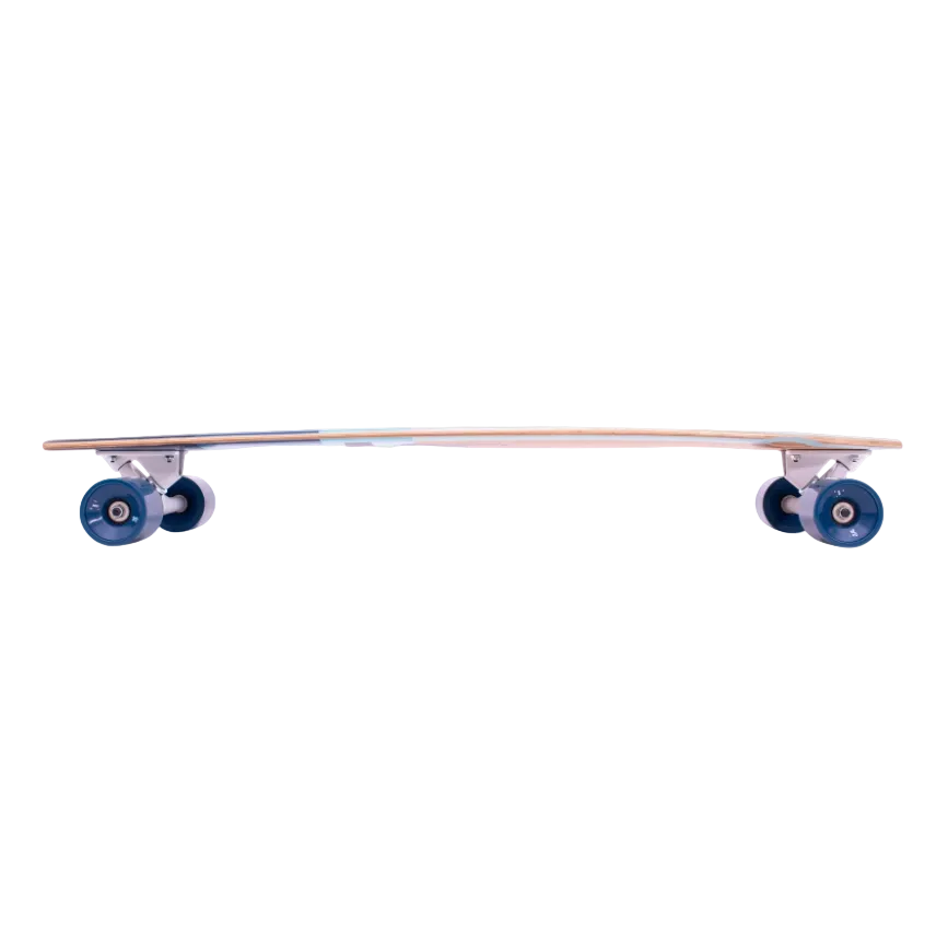 Bamboo Pintail