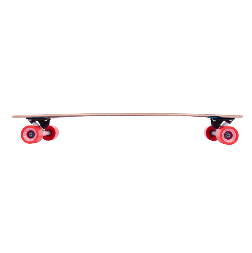 Surf-A-Gogo Pintail