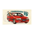 Commodore V6 Bearings