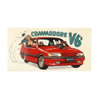 Commodore V6 Bearings